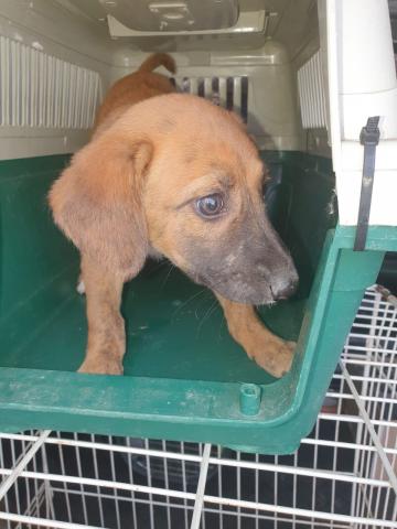 E-165 (23-10-2019) Paredes de Nava