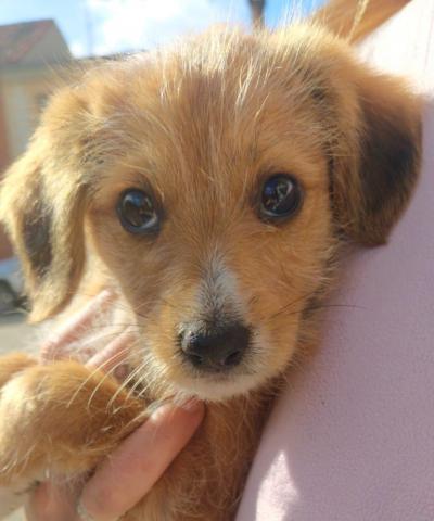 E-167-1 (31-10-2019) Paredes de Nava