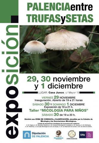 Exposición Palencia,entre setas y trufas (exposición micológica provincial) 29-11 al 1-12 de 2019