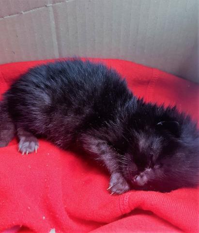 E-169 (06-11-2019) Venta de Baños