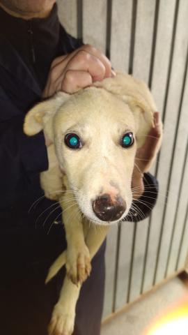 E-174-1 (27-11-2019) Paredes de Nava