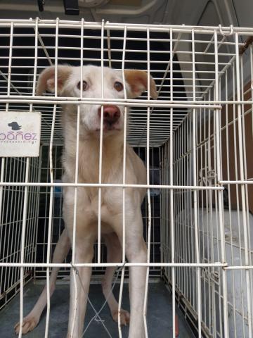 E-176 (27-11-2019) Dueñas