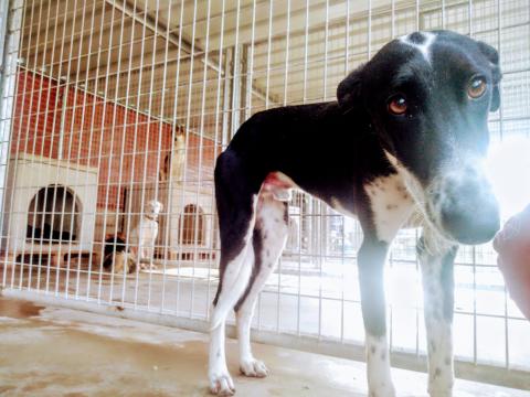 E-178 (09-12-2019) Marcilla de Campos