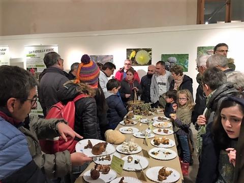 Exposición Palencia,entre trufas y setas (3)