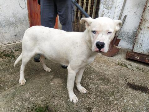 E-191 (24-01-2019) Villada