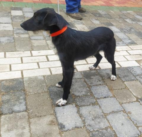 E-193 (28-01-2020) Melgar de Yuso