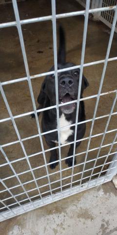 E-195-1 (07-02-2020) Aguilar de Campoo