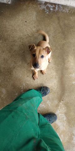 E-199 (13-02-2020) Osorno La Mayor