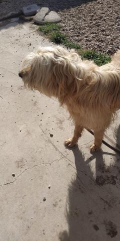 E-202 (06-03-2020) Villamuriel de Cerrato