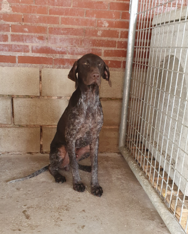 E-211 (11-06-2020) Olmos de Pisuerga 