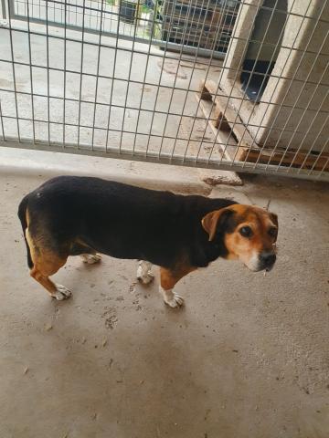 E-215 (02-07-2020) Autilla del Pino