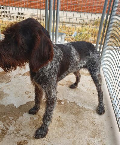 E-216 (02-07-2020) Villarramiel