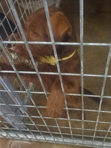 E-238 (11-08-2028) Torremormojón