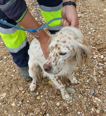 E-18P (29-10-2021) Villada