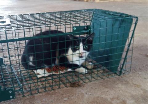 E-7P (28-09-2021) Paredes de Nava