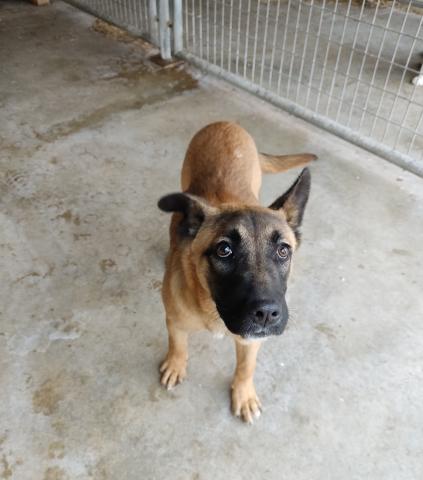 E-21P (11-11-2021) Monzon de Campos