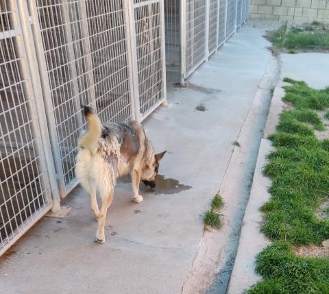 E-23P-1 (17-11-2021) Aguilar de Campoo