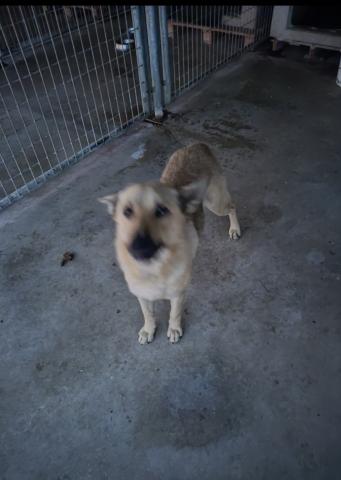 E-24P (19-11-2021) Dueñas