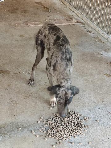 E-25P (30-11-2021) Saldaña