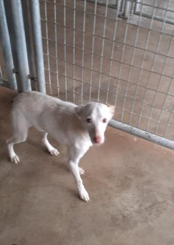 E-27P (21-12-2021) Población de Cerrato