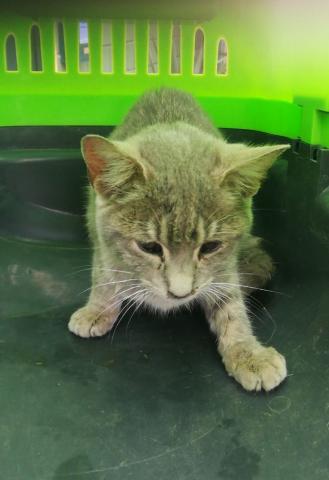 E-30P (23-12-2021) Dueñas