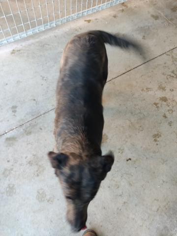 E-35P (18-01-2022) Ampudia