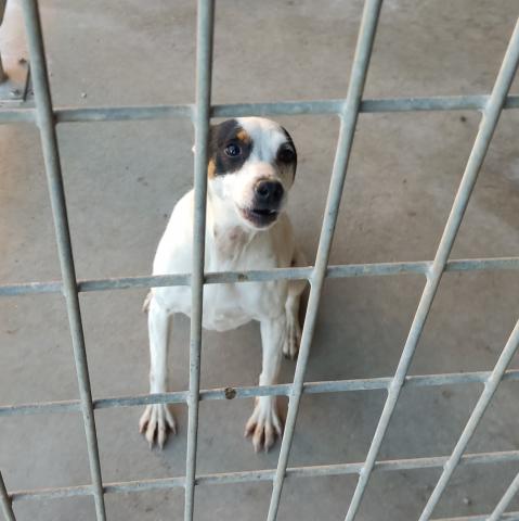 E-36P (18-01-2022) Husillos