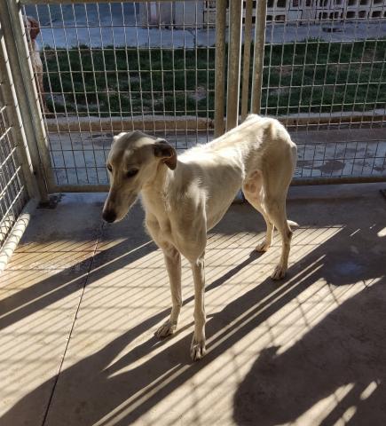 E-40P (27-01-2022) Ventosa de Pisuerga