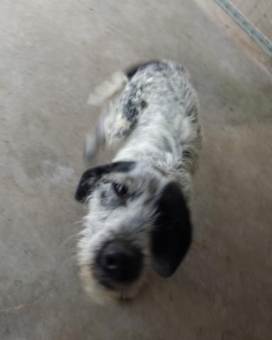 E-42P (18-02-2022) Abia de las Torres