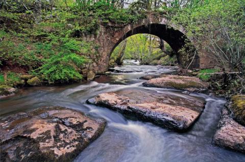 "Puente romano de Rojadillo" de Guillermo Quintanilla Benavente. Lugar Brañosera