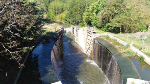 esclusaribasdecampos