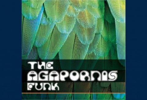 ‘Espiga, cosecha cultural del 2016’ 