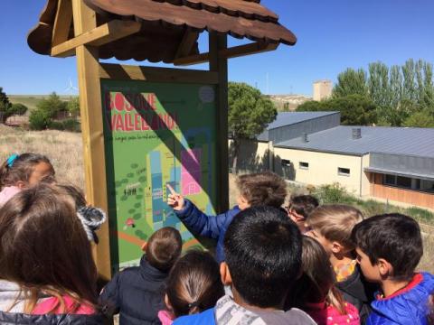 Escuelas para la Sostenibilidad. CEIP Conde Vallellano. Ampudia