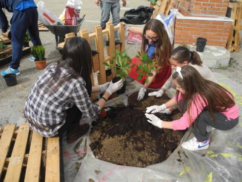 escuelas_para_la_sostenibilidad
