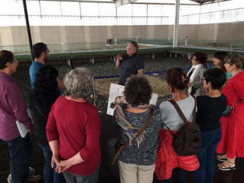 el jardín de la Olmeda