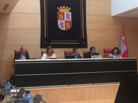 Un momento de la intervención, esta mañana, en las Cortes de Castilla y León.