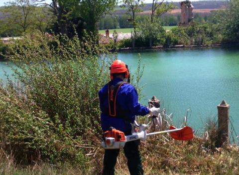 tablares._trabajos_selvicolas