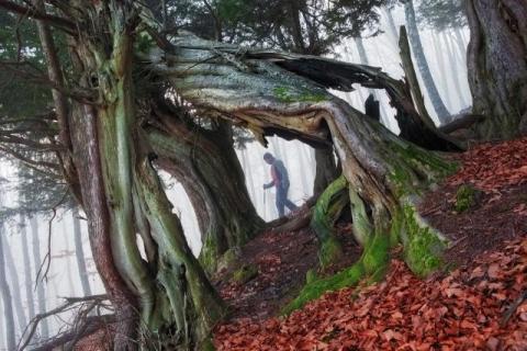 1a_premio.entre_tejos._juan_manuel_garcia_lucas