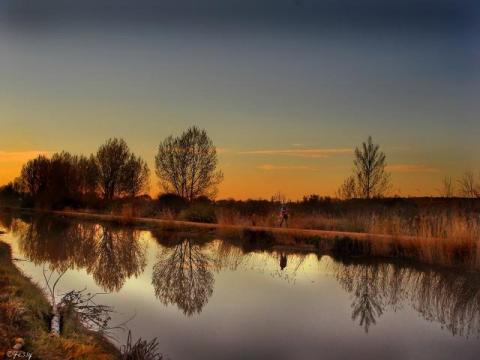 walk_go_home_-_yesica_gonzalez_gonzalez-_canal_de_castilla_a_su_paso_por_palencia