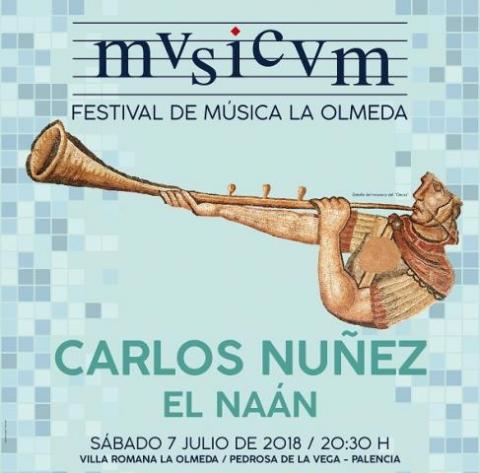 cartel_vro_mvsicvm_50x70_cm