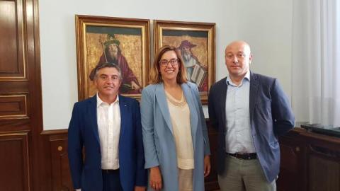 20180717_100150-triangle