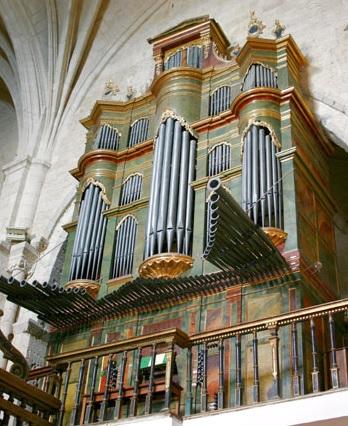 paredesstaeulaliaorgano