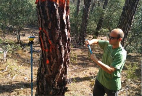 foto_practica_rodrigo_cabezudo_tejeda_ecm_2017