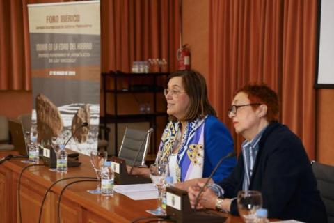 foro_ibérico._vacceos1