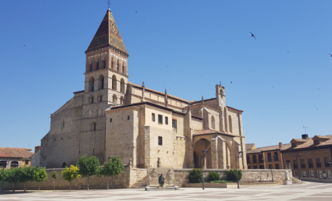 campos del renacimiento