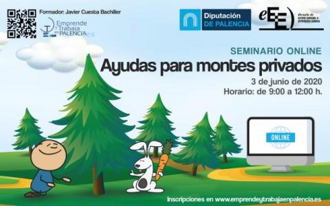 2020-seminario_ayudas_montes_privados