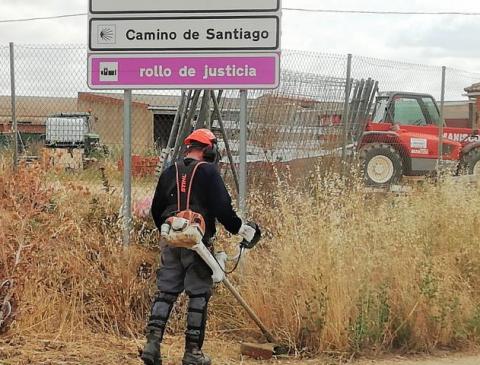 Programa de empleo forestal. Itero de la Vega