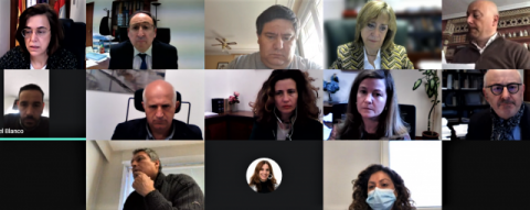 Captura imagen de la Junta de Gobierno telemática