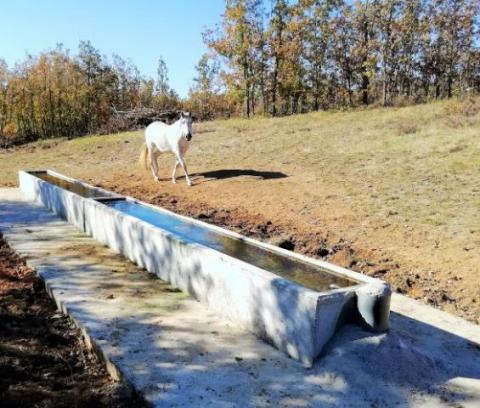 abrevadero_para_uso_ganadero.jpg