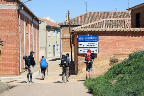 ledigos_peregrinos2.jpg